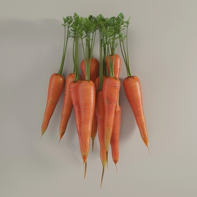 新鲜种植白萝卜500g 3个