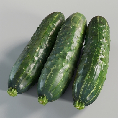 新鲜青瓜360g 4个
